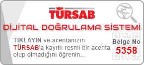 Turindex Turizm Türsab site doğrulama linki